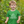 Load image into Gallery viewer, Living Loved Mountain Toddler Tee