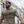 Load image into Gallery viewer, Second Amendment T-Shirt
