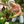 Load image into Gallery viewer, Spring - Spring Flower Market T-Shirt
