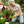 Load image into Gallery viewer, Spring - Spring Flower Market T-Shirt