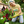 Load image into Gallery viewer, Spring - Spring Flower Market T-Shirt
