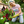 Load image into Gallery viewer, Spring - Spring Flower Market T-Shirt