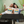 Load image into Gallery viewer, Summer - Hello Summer My Old Friend T-Shirt