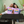 Load image into Gallery viewer, Summer - Hello Summer My Old Friend T-Shirt