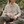 Load image into Gallery viewer, Love is Fearless Sage Heart Hoodie / Love is Fearless - Janet Newberry Collection