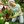 Load image into Gallery viewer, Spring - Spring Flower Market T-Shirt