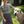 Load image into Gallery viewer, Dogs - Dog Mama T-Shirt
