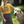 Load image into Gallery viewer, Dogs - Dog Mama T-Shirt