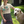 Load image into Gallery viewer, Dogs - Dog Mama T-Shirt