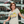 Load image into Gallery viewer, Stay Wild Sunflower T-Shirt