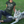 Load image into Gallery viewer, Dogs - My Dog Thinks I'm Cool T-Shirt