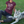 Load image into Gallery viewer, Dogs - My Dog Thinks I'm Cool T-Shirt