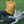 Load image into Gallery viewer, Dogs - My Dog Thinks I'm Cool T-Shirt