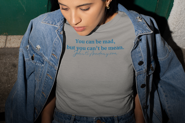 You Can Be Mad But You Can't Be Mean T-Shirt / Love is Fearless - Janet Newberry Collection